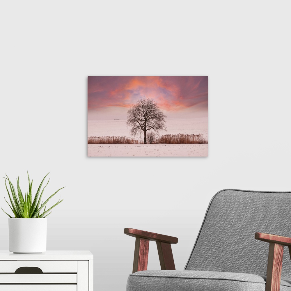 A modern room featuring Sunset in winter