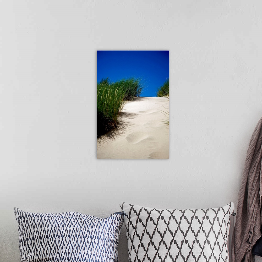 A bohemian room featuring This decorative wall art is a vertical photograph showing the detail of a path up a sand dune unm...