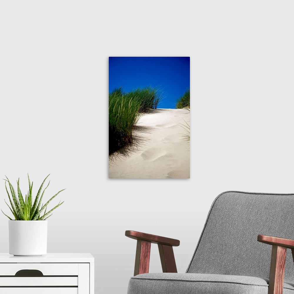 A modern room featuring This decorative wall art is a vertical photograph showing the detail of a path up a sand dune unm...