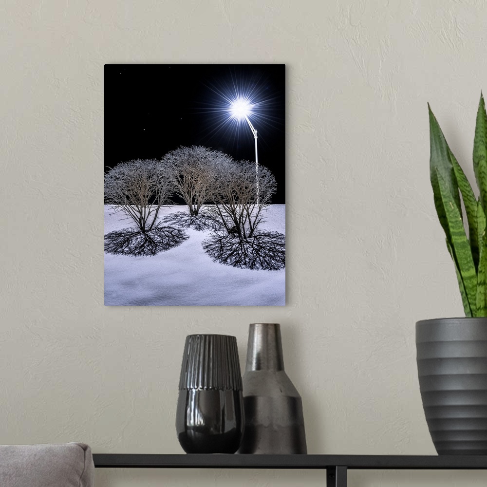 A modern room featuring Bare bushes in the winter casting shadows in the snow with light from a street lamp.