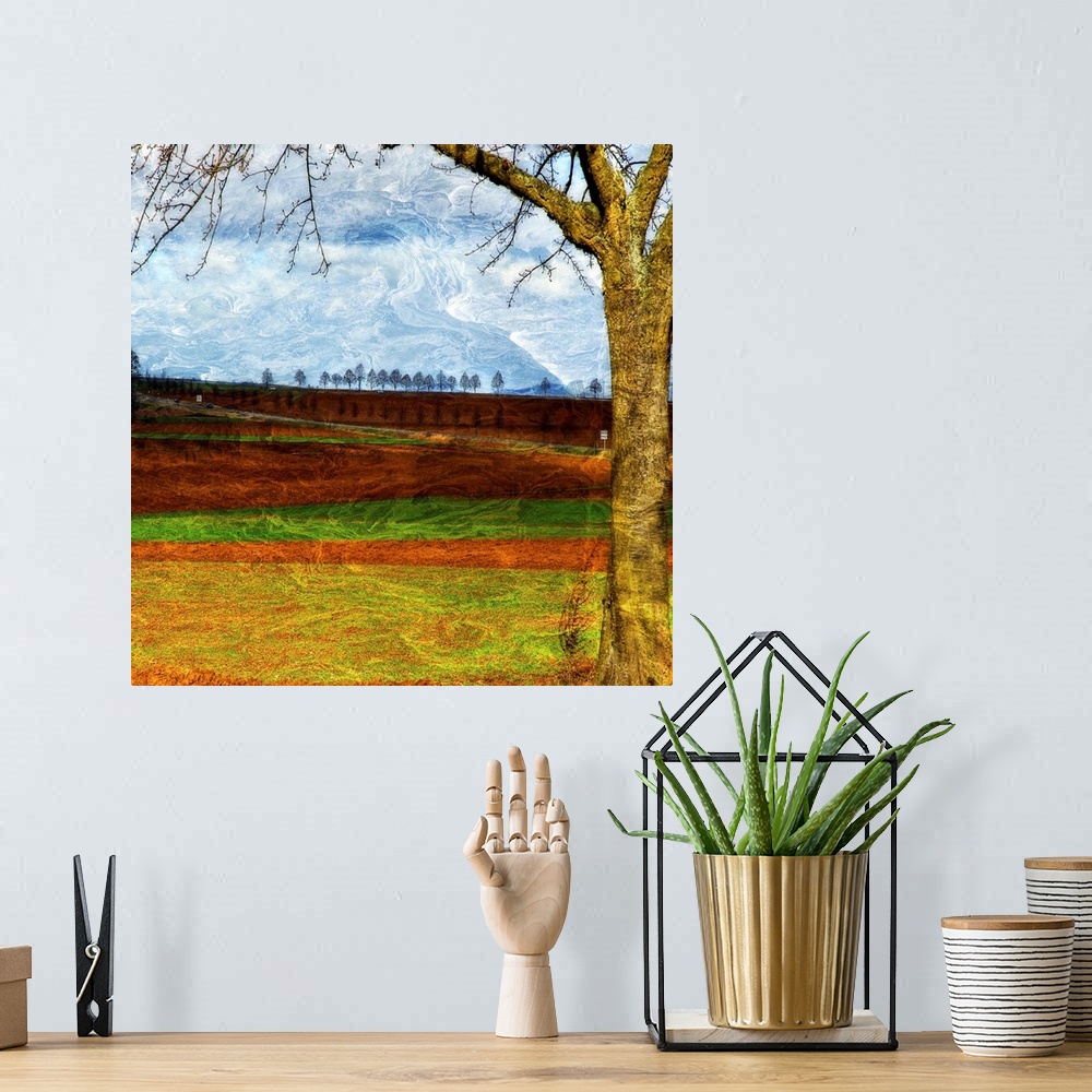 A bohemian room featuring Square, large, fine art wall hanging of a big tree in the foreground, against a landscape of alte...