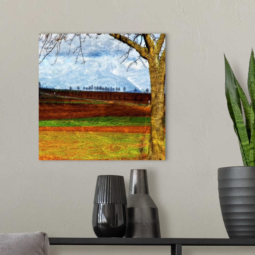 A modern room featuring Square, large, fine art wall hanging of a big tree in the foreground, against a landscape of alte...