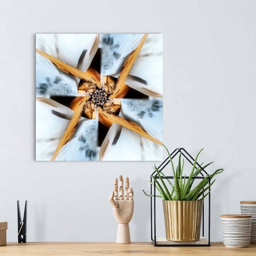 A bohemian room featuring Square abstract art of a photograph of organic objects edited in a circular motion to create move...