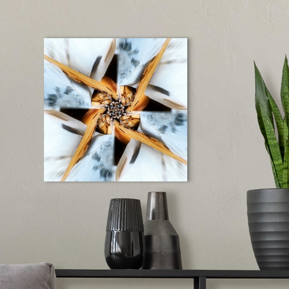A modern room featuring Square abstract art of a photograph of organic objects edited in a circular motion to create move...