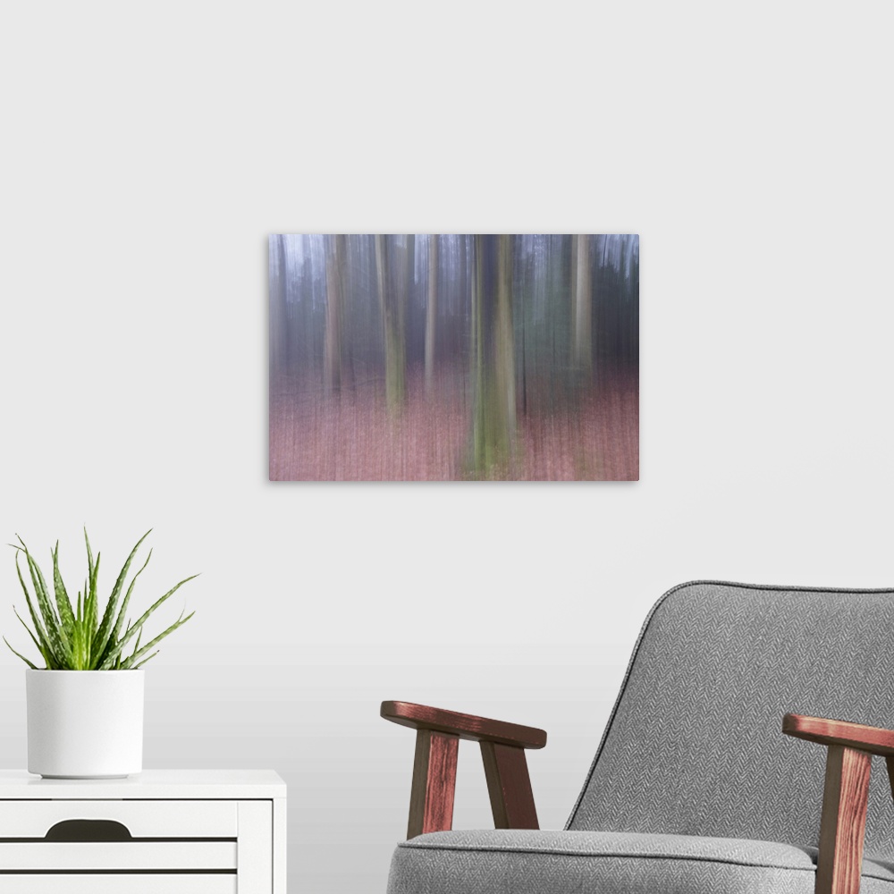 A modern room featuring Trees veil the light, leading you into the darkness of the forest.
