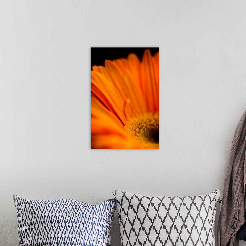 A bohemian room featuring A rich orange daisy like flower in close-up.