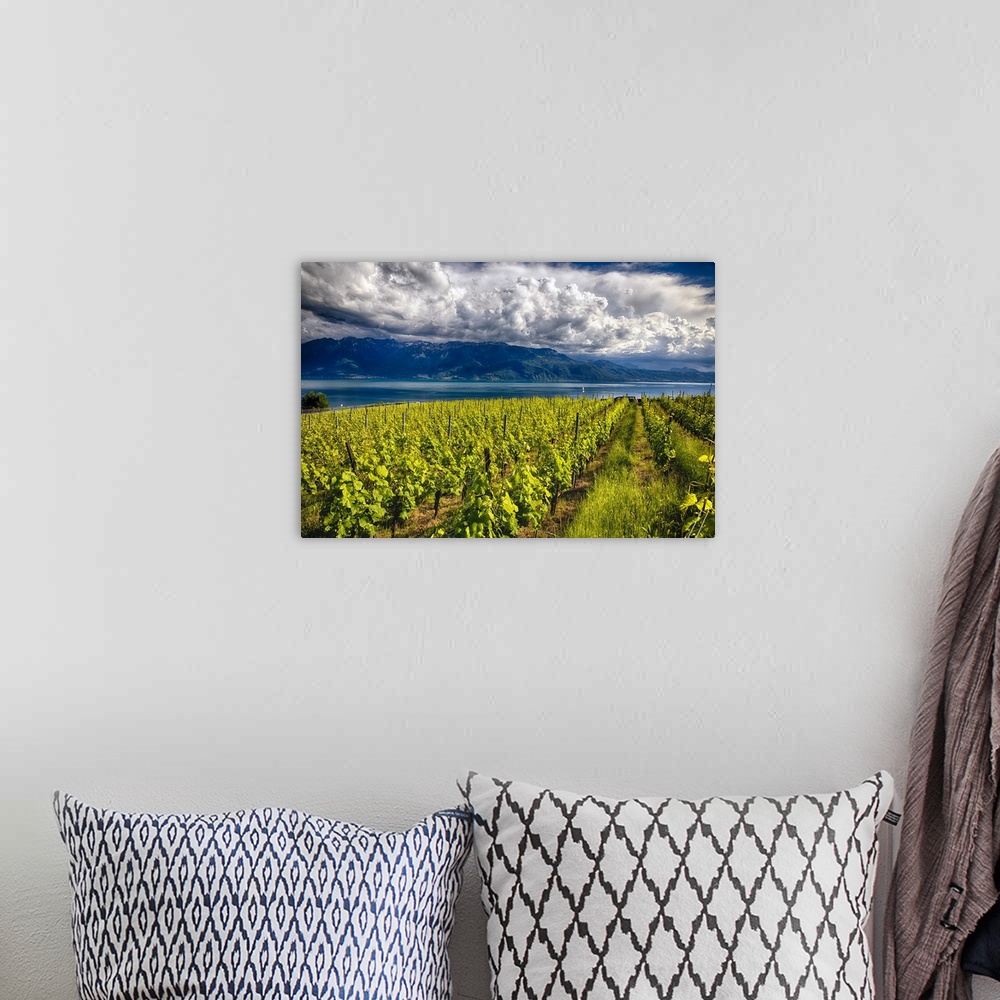 A bohemian room featuring A photograph of a vineyard under a sky filled with enormous clouds.