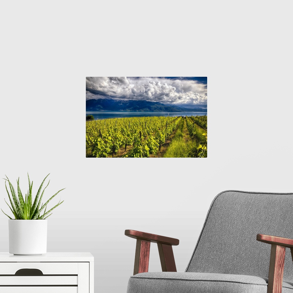 A modern room featuring A photograph of a vineyard under a sky filled with enormous clouds.