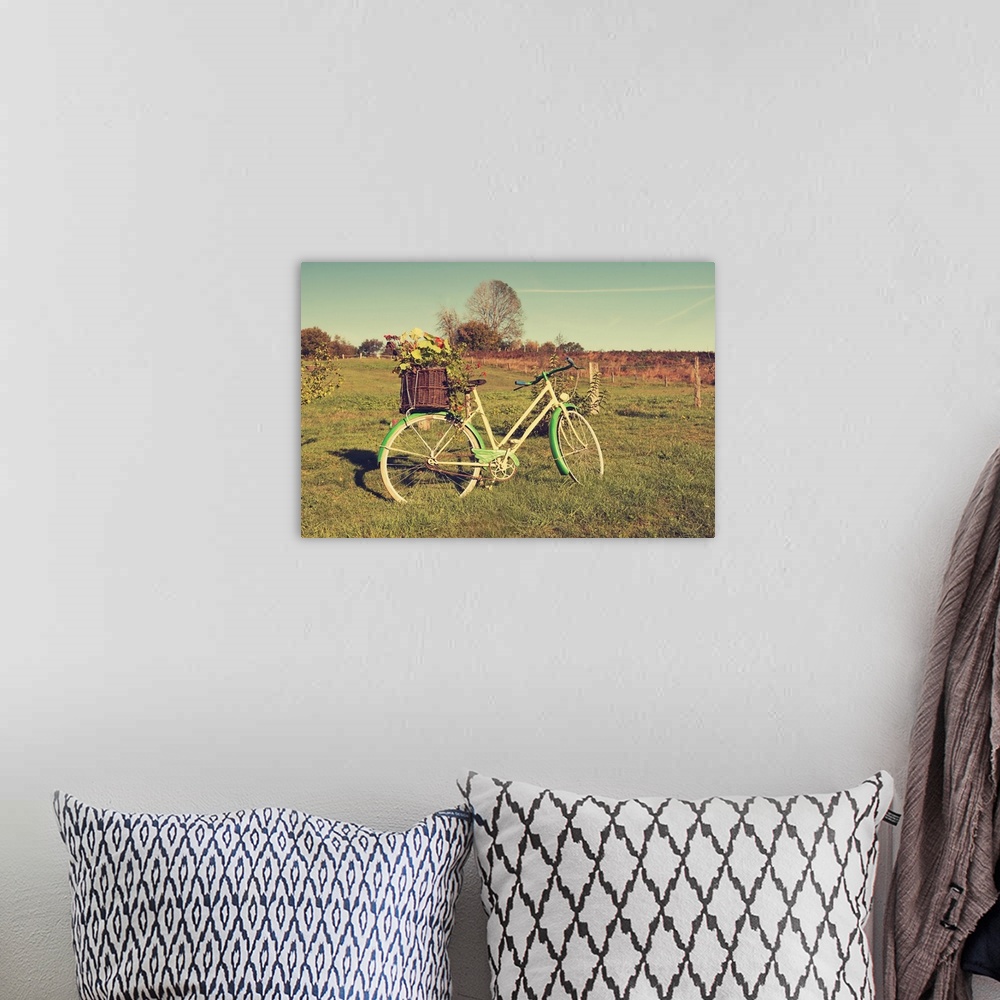 A bohemian room featuring A photograph of a vintage green and white bicycle standing in a field.