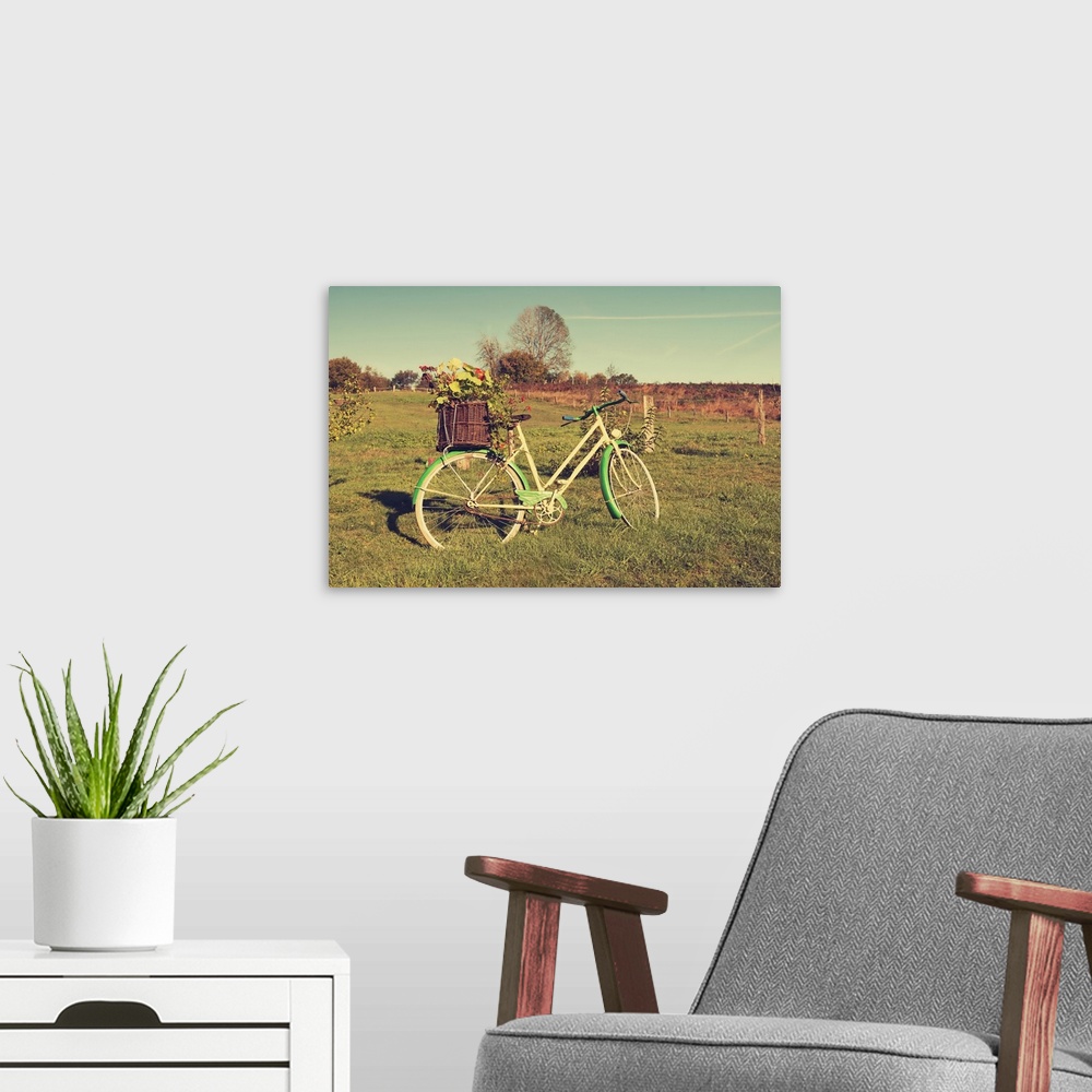 A modern room featuring A photograph of a vintage green and white bicycle standing in a field.