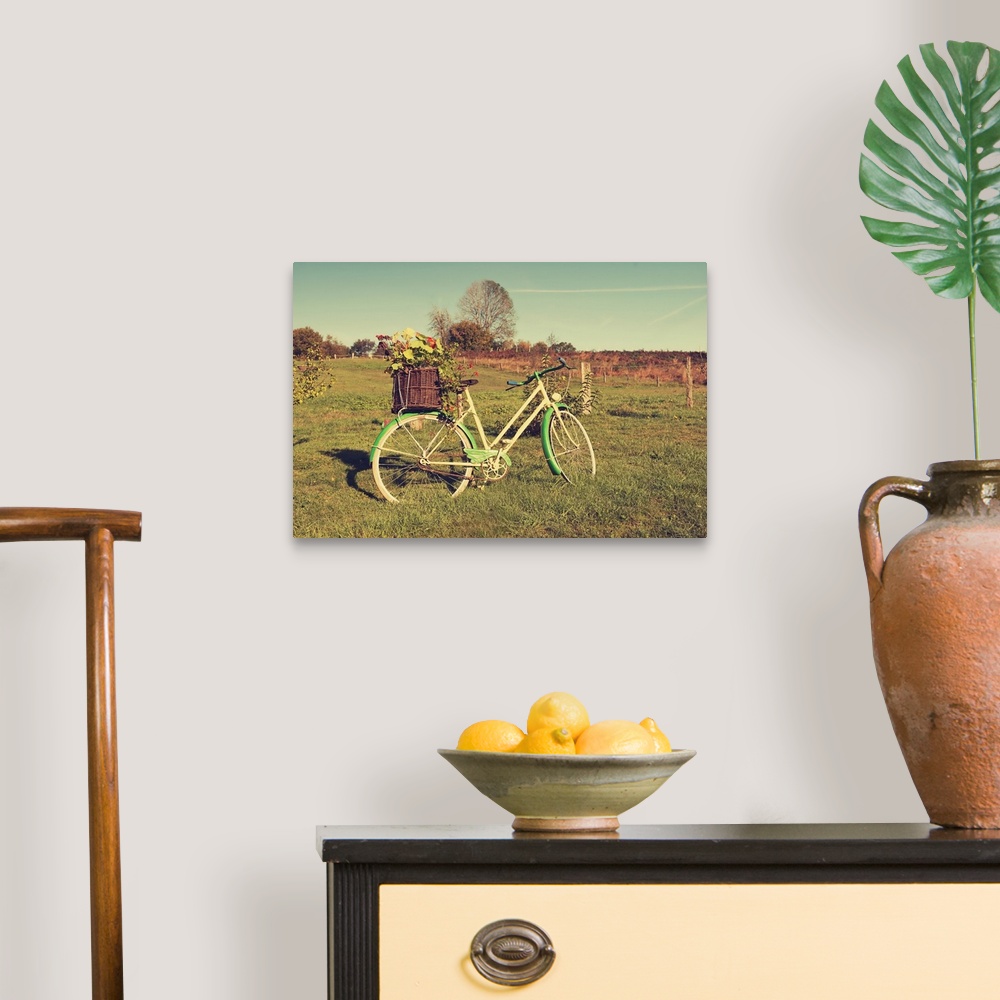 A traditional room featuring A photograph of a vintage green and white bicycle standing in a field.