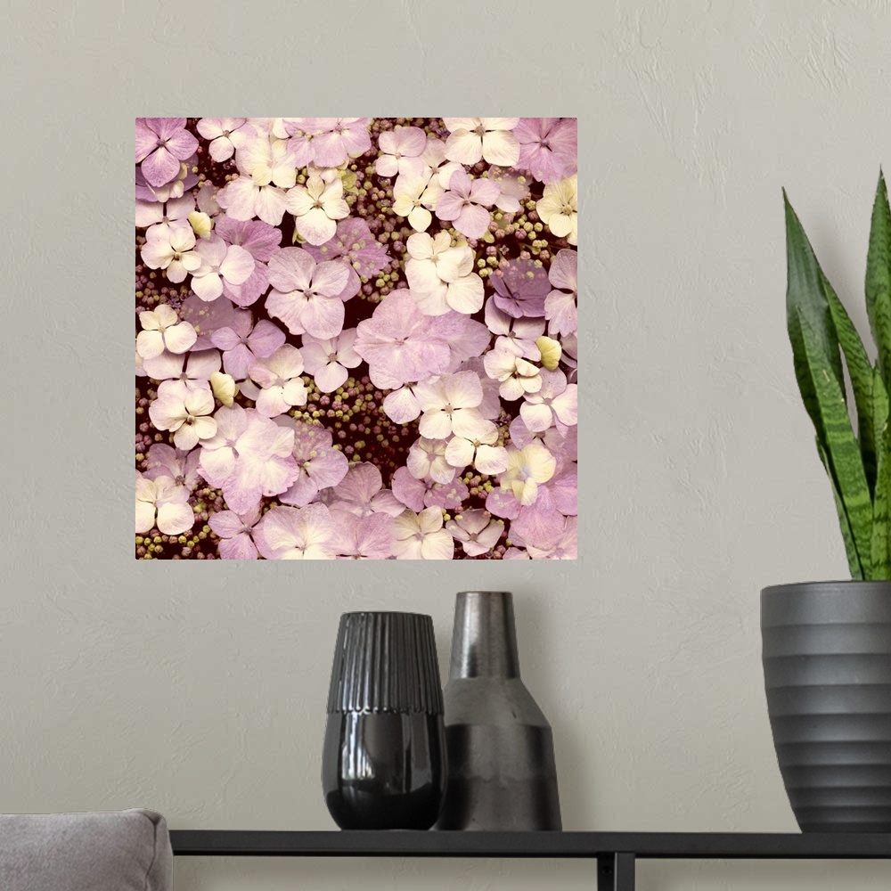 A modern room featuring A cluster of hydrangea flowers in shades of pink.