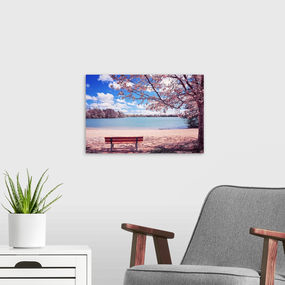 A modern room featuring This spring time landscape photograph shows and empty park bench under a blossoming cherry tree b...