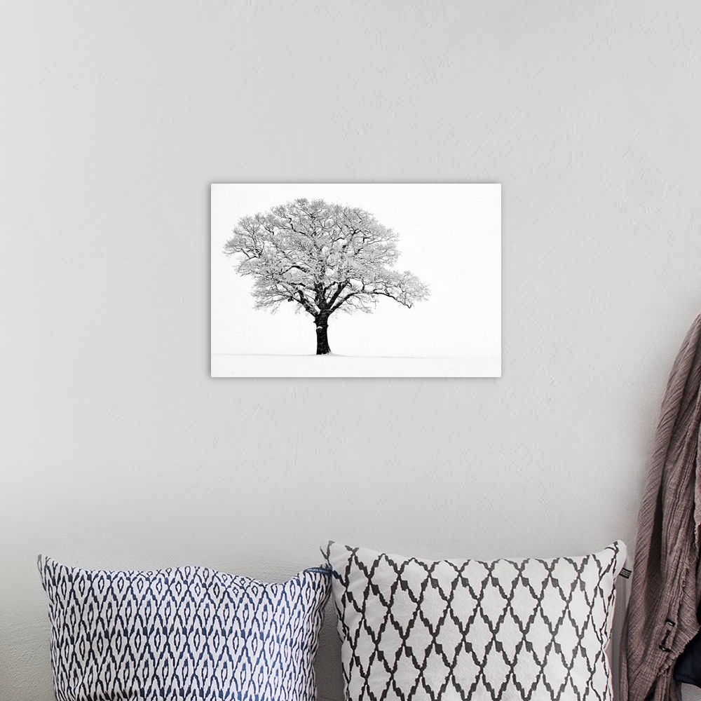A bohemian room featuring Landscape, fine art photograph on a big wall hanging of a lone tree with snow covered branches, o...
