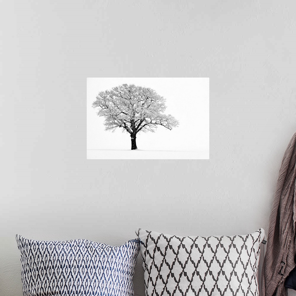 A bohemian room featuring Landscape, fine art photograph on a big wall hanging of a lone tree with snow covered branches, o...
