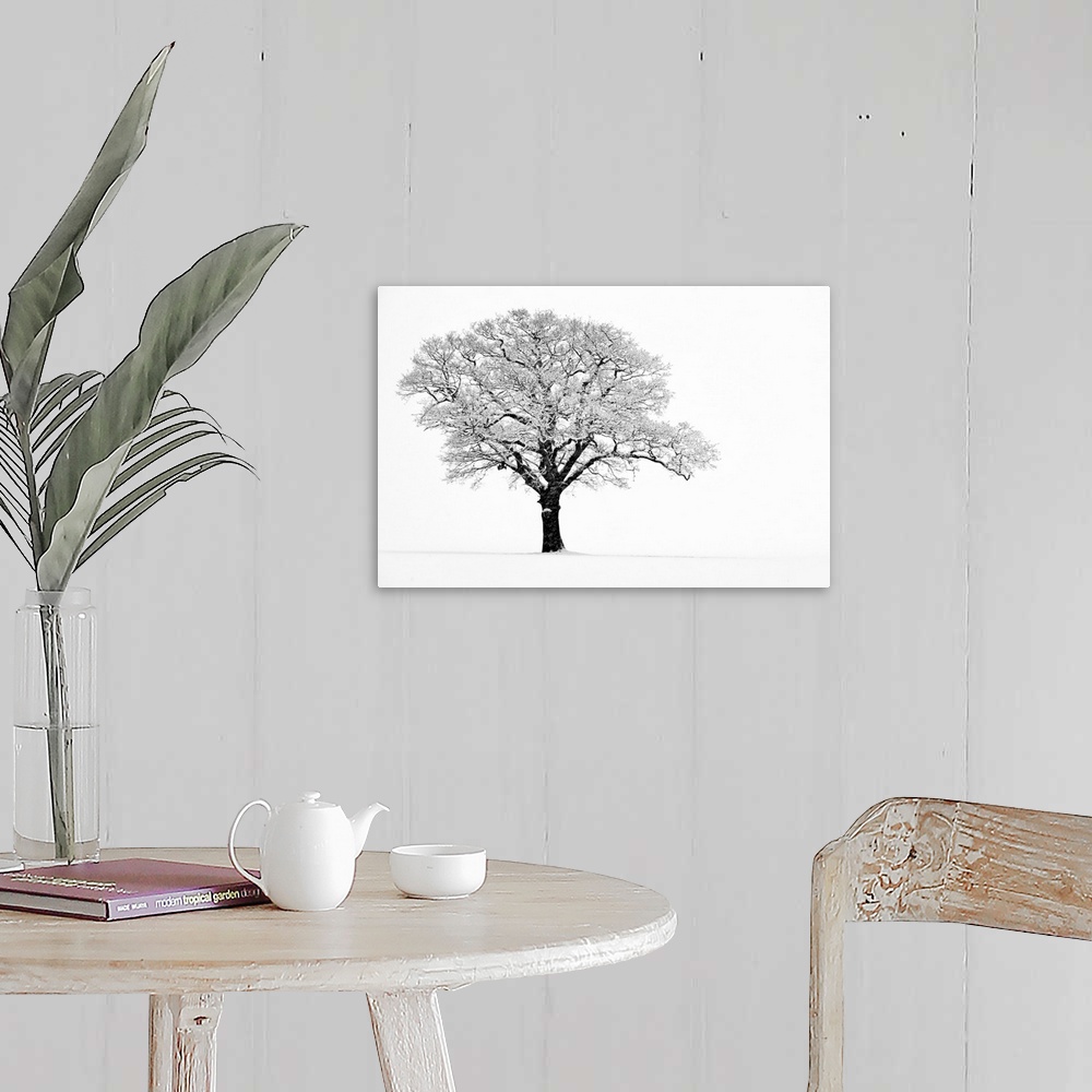 A farmhouse room featuring Landscape, fine art photograph on a big wall hanging of a lone tree with snow covered branches, o...
