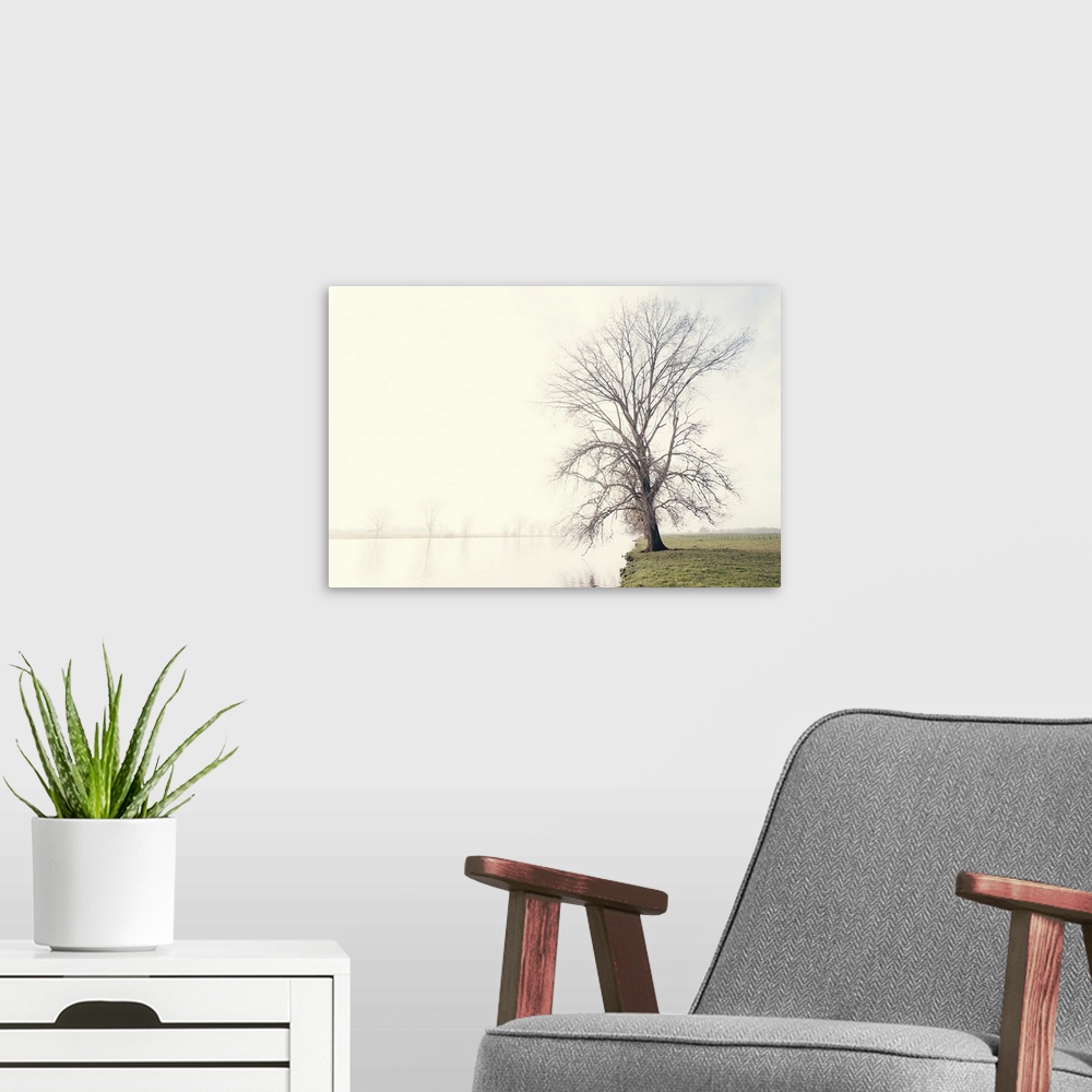 A modern room featuring Waking up in the quietude of a hazy winter morning.