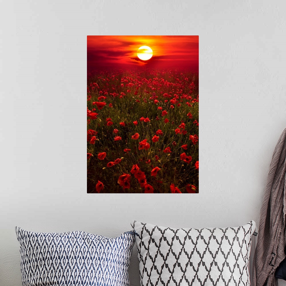 A bohemian room featuring Giant photograph showcases the sun beginning to set over a landscape filled with poppy flowers al...