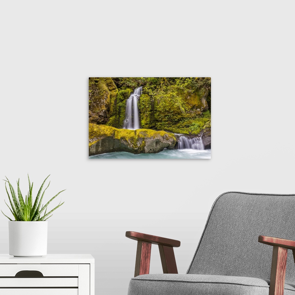 A modern room featuring A small waterfall pours into the Ohanapecosh River, Washington