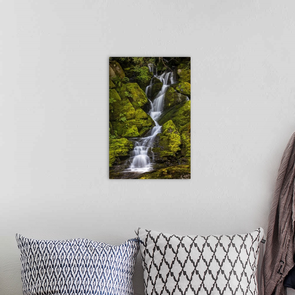 A bohemian room featuring A small waterfall flows down mossy rocks, Washington