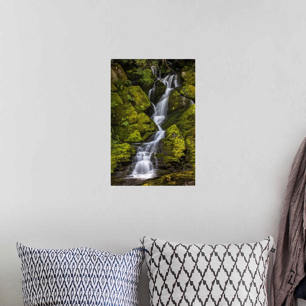 A bohemian room featuring A small waterfall flows down mossy rocks, Washington