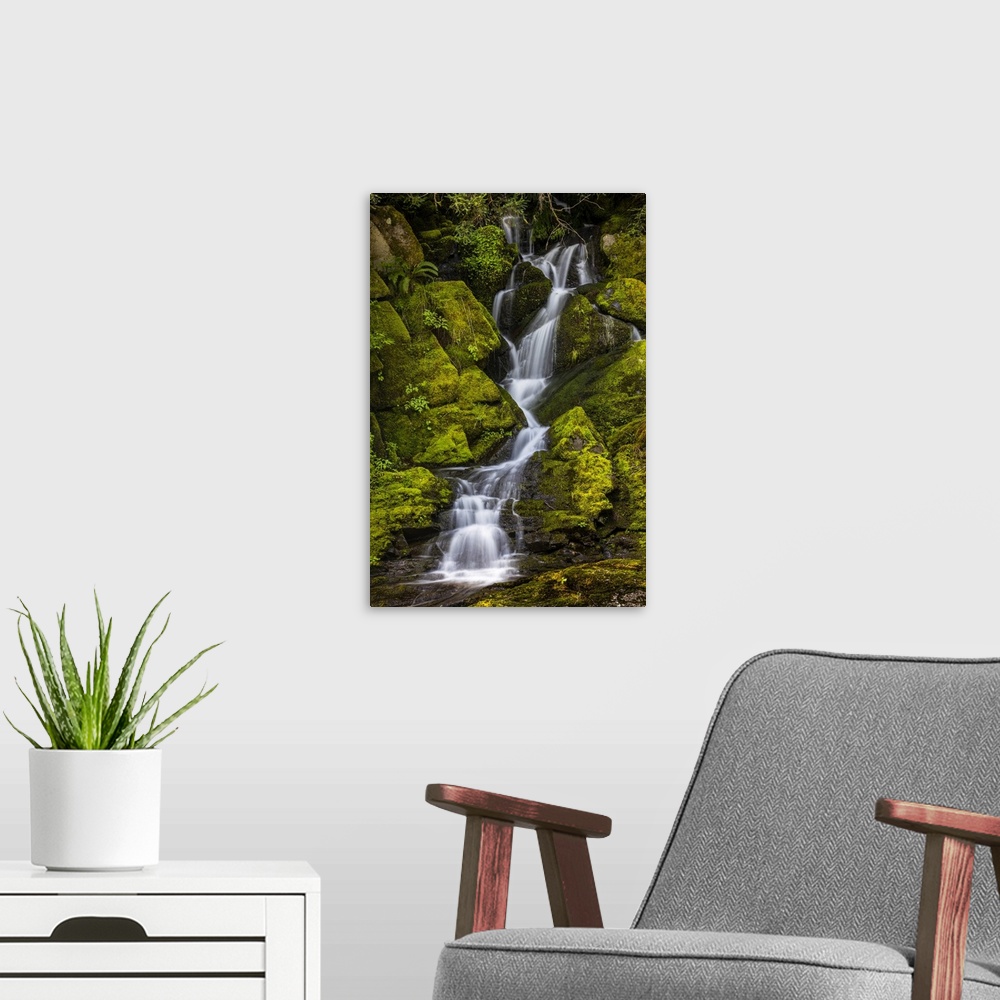 A modern room featuring A small waterfall flows down mossy rocks, Washington