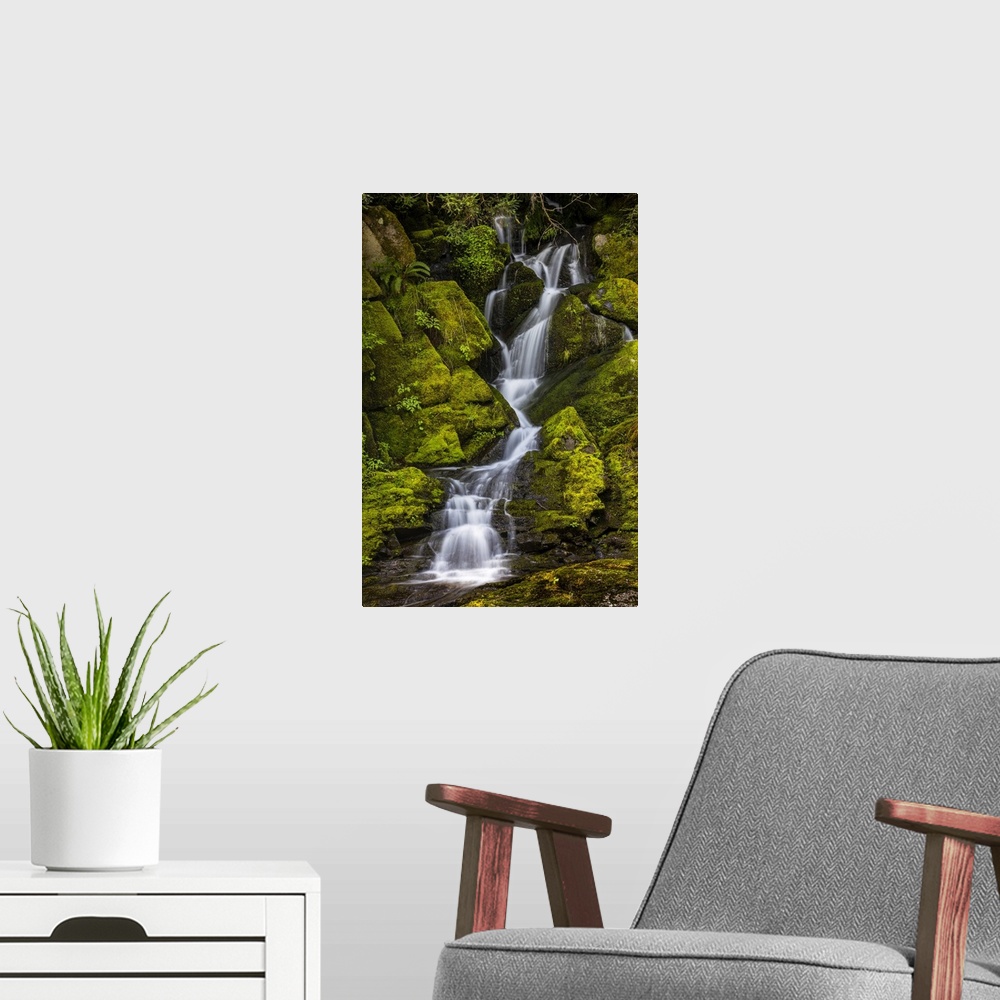 A modern room featuring A small waterfall flows down mossy rocks, Washington
