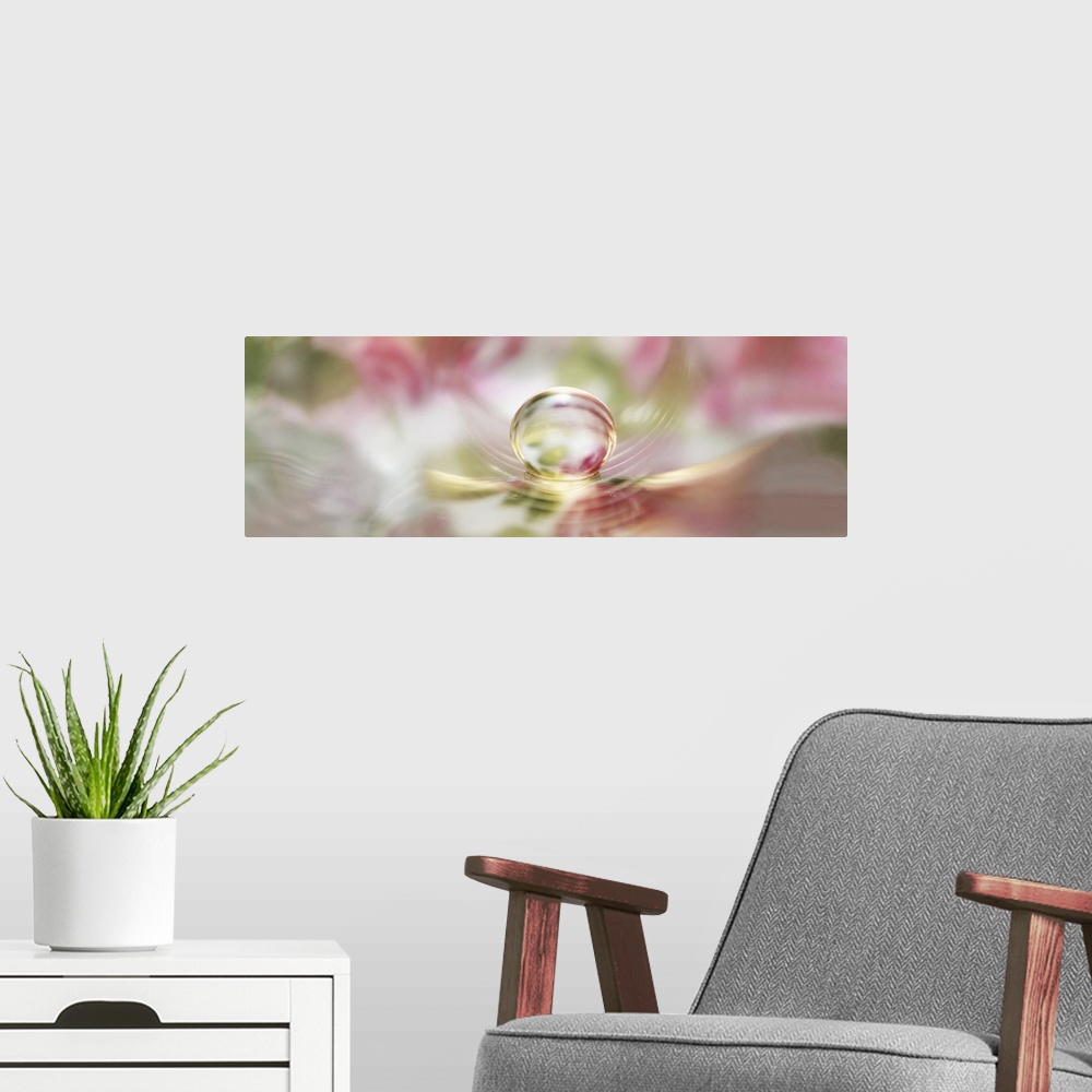 A modern room featuring A water bead with a floral background.