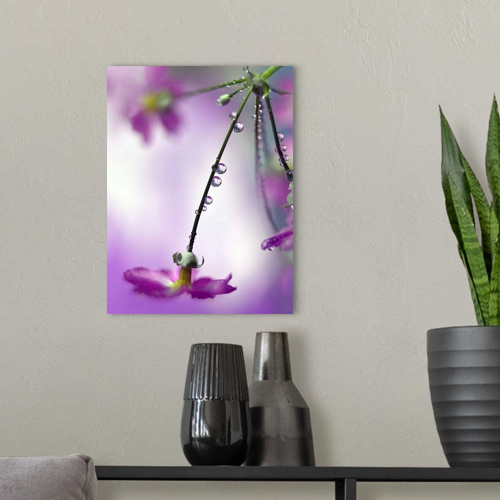A modern room featuring Fine art photograph of water droplets lining the stems of long purple flowers with a shallow dept...