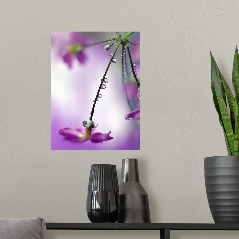 A modern room featuring Fine art photograph of water droplets lining the stems of long purple flowers with a shallow dept...