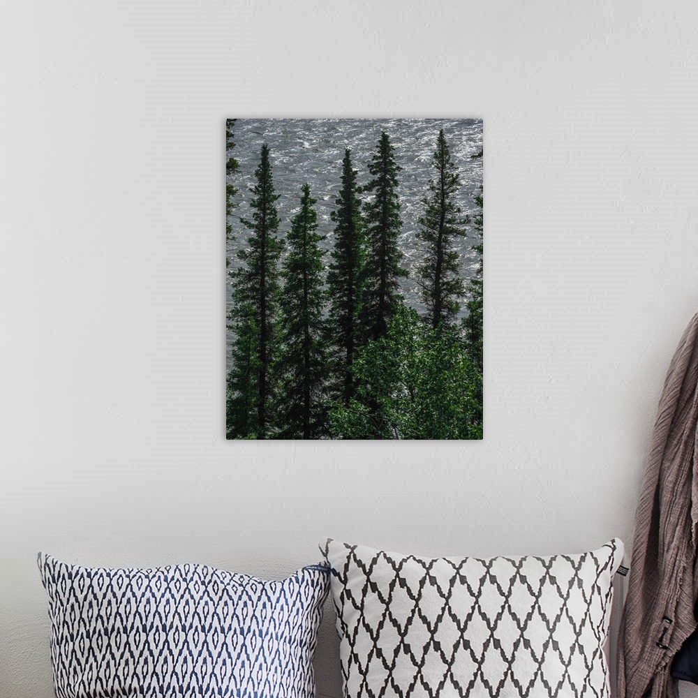 A bohemian room featuring A graphical contemplative photograph of stiletto-like trees with a watery sky background.