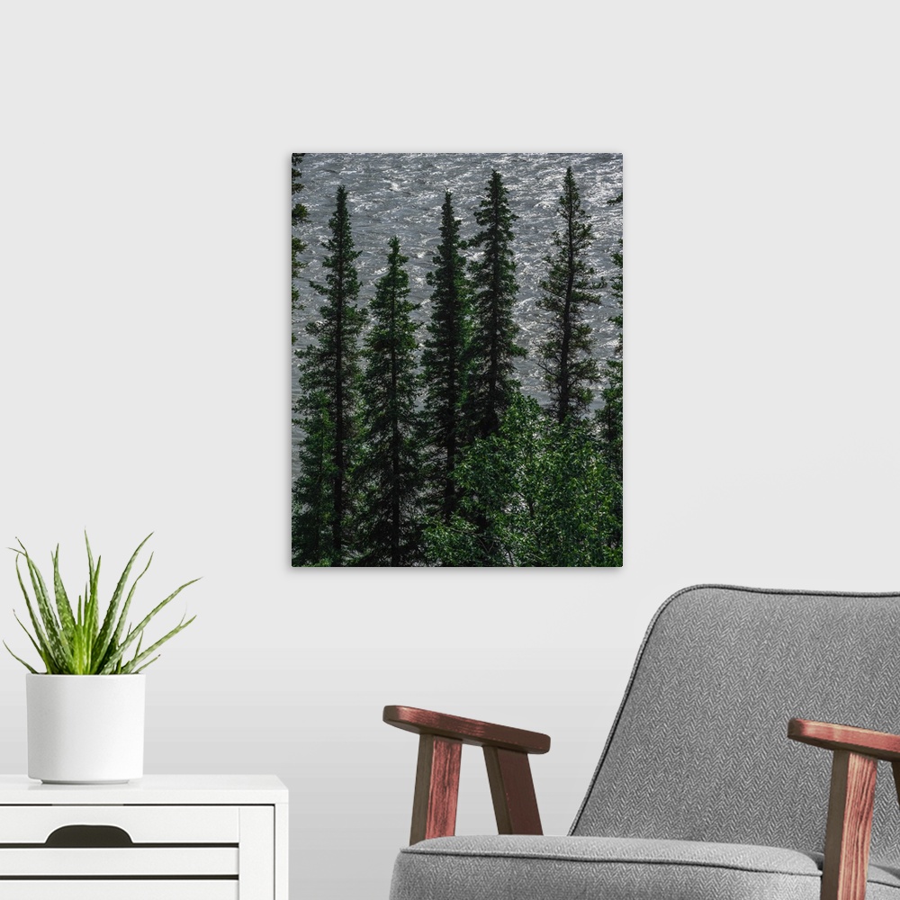 A modern room featuring A graphical contemplative photograph of stiletto-like trees with a watery sky background.