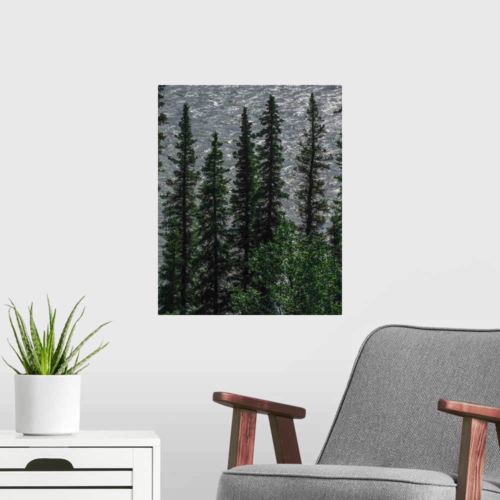 A modern room featuring A graphical contemplative photograph of stiletto-like trees with a watery sky background.