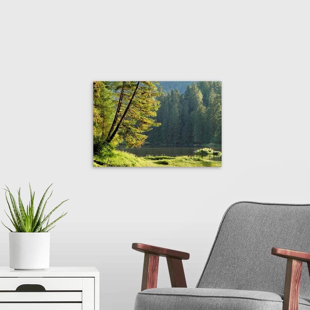 A modern room featuring Lake and temperate rainforest, Tongass National Forest, Alaska