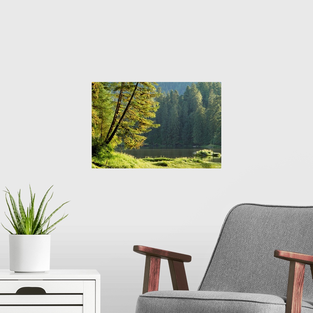 A modern room featuring Lake and temperate rainforest, Tongass National Forest, Alaska