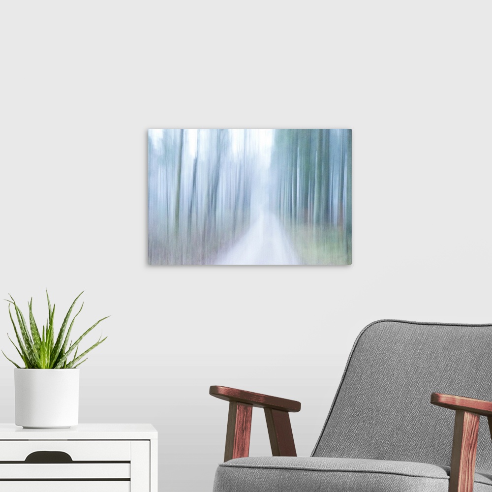 A modern room featuring A cold wind weeps into the sleeping forest.