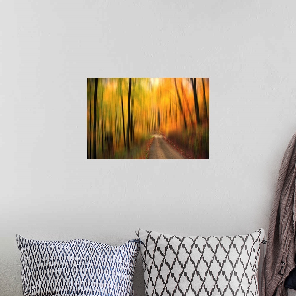 A bohemian room featuring A thin path is the only part of the photograph that appears in focus. The forest and trees surrou...