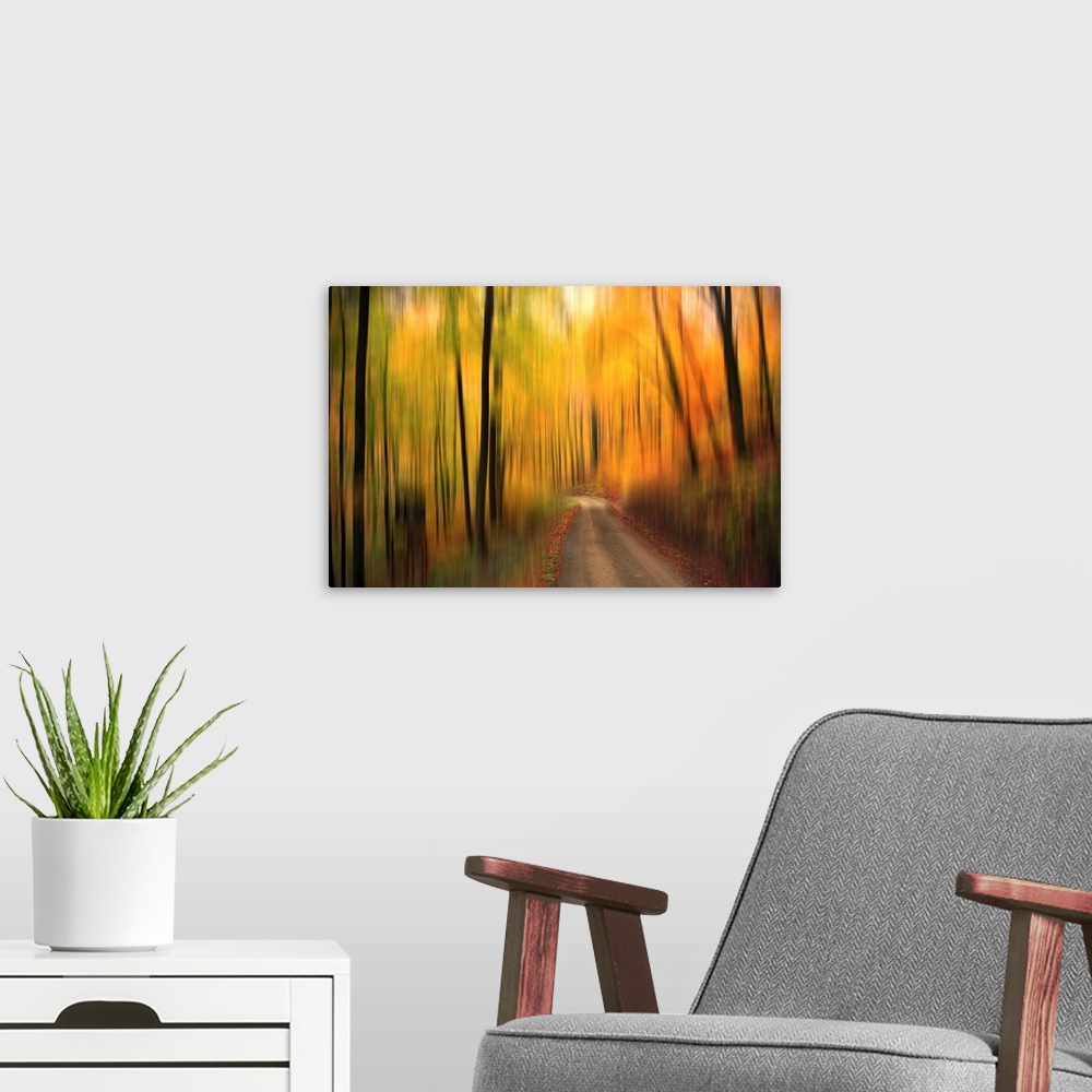 A modern room featuring A thin path is the only part of the photograph that appears in focus. The forest and trees surrou...