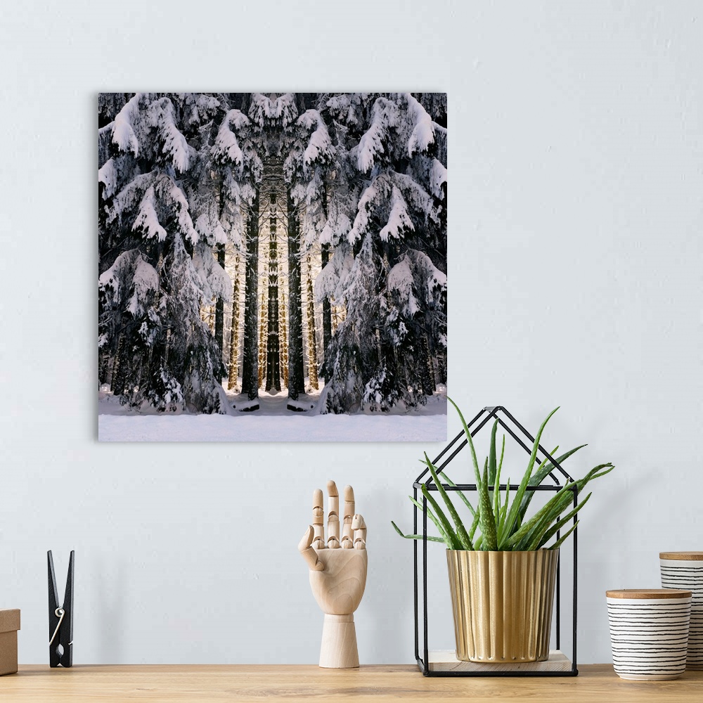 A bohemian room featuring A snowy forest