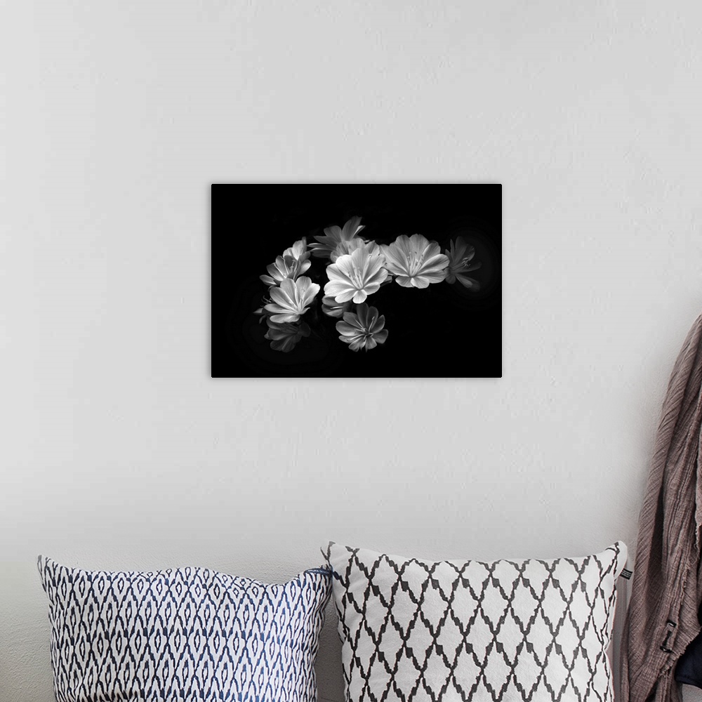 A bohemian room featuring A black and white photograph of flowers against a black background.