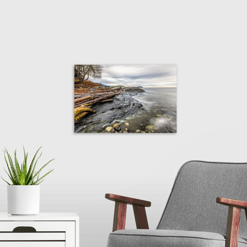 A modern room featuring A peaceful and transquil ocean scene in the fall time.