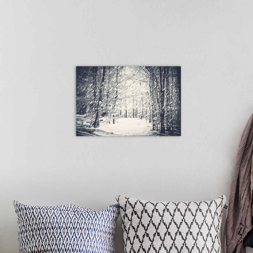 A bohemian room featuring Winter wonders.