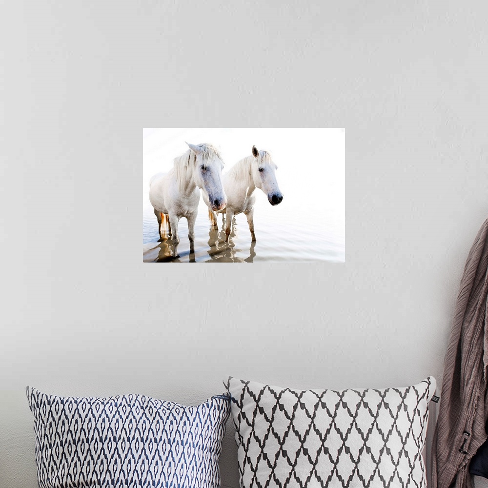 A bohemian room featuring Photograph of two white horses standing in shallow water with ripples and a blown out background.