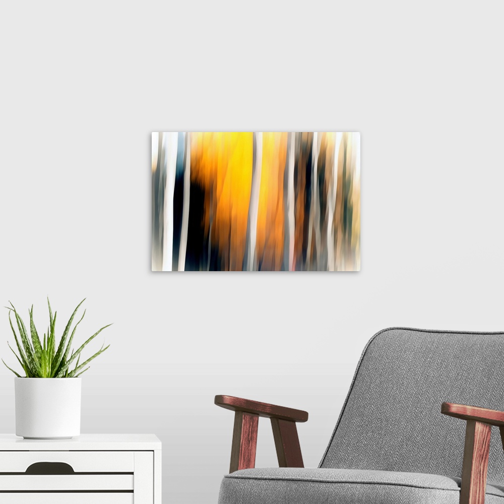 A modern room featuring Abstract landscape photograph with blurred white Birch tree trunks and a yellow and orange lit ba...