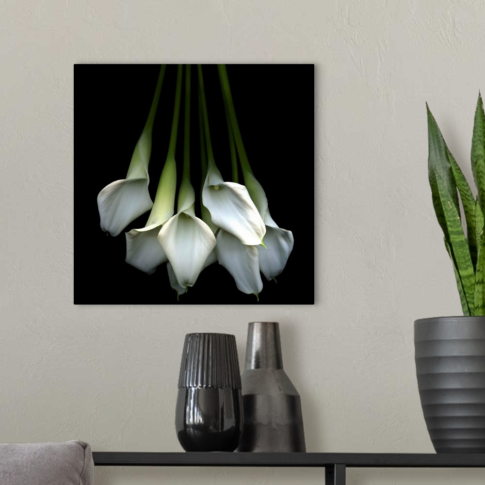 A modern room featuring Photograph of flower bouquet with dark background.
