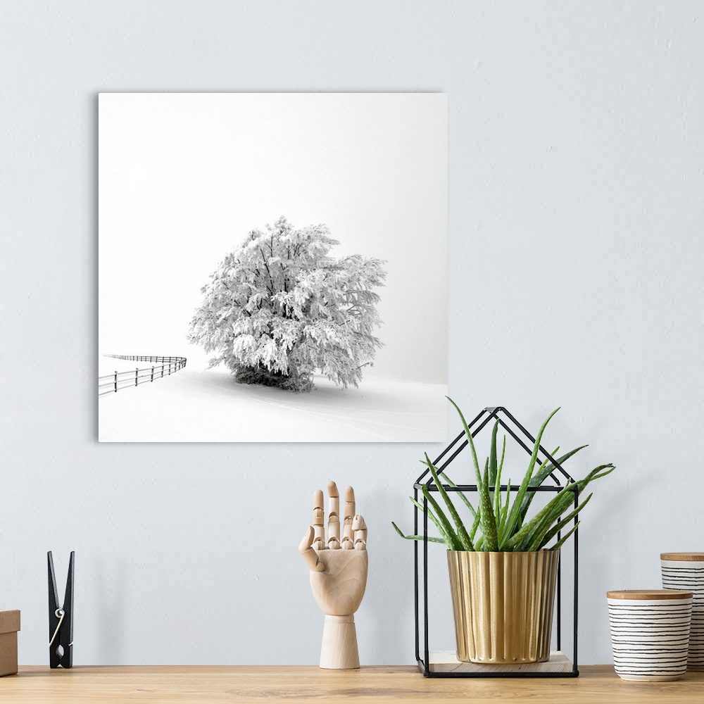 A bohemian room featuring A white tree in winter