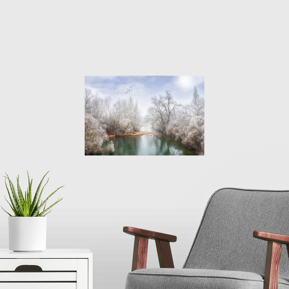 A modern room featuring Photograph of snow covered trees around a blue-green body of water and a flock of birds flying th...