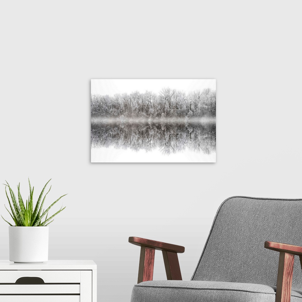 A modern room featuring Photograph of a snow frozen line of trees reflecting below a foggy line.