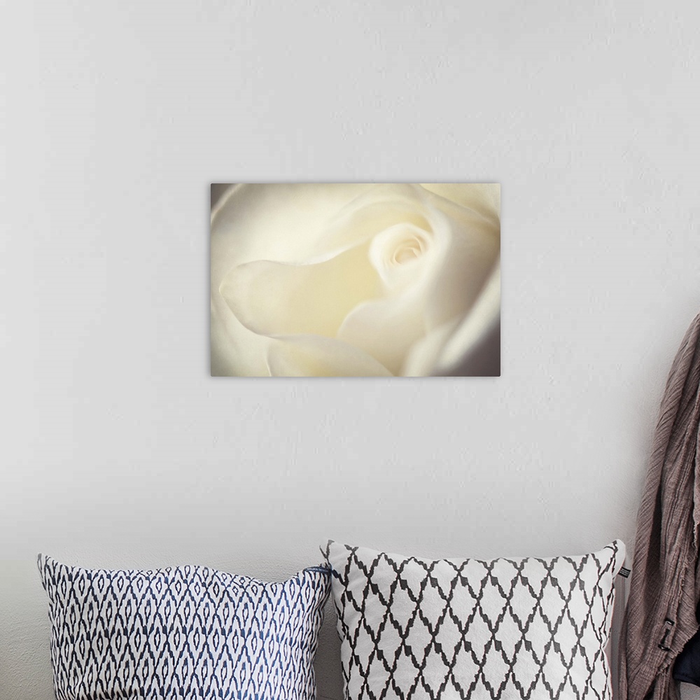 A bohemian room featuring A macro photograph of a soft white rose.