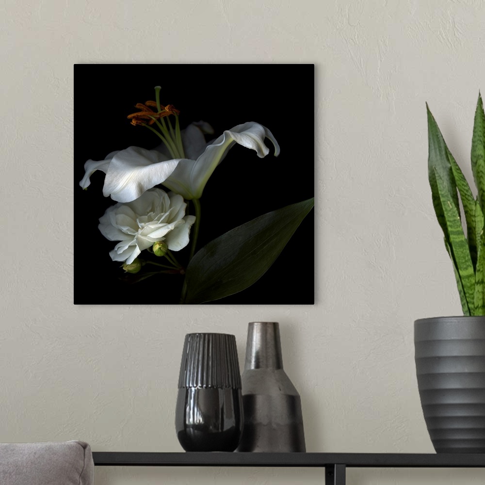 A modern room featuring Two white flowers are shadowed but stand out against a dark background.
